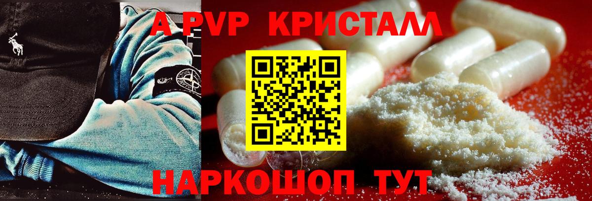 A PVP СК Нижний Новгород