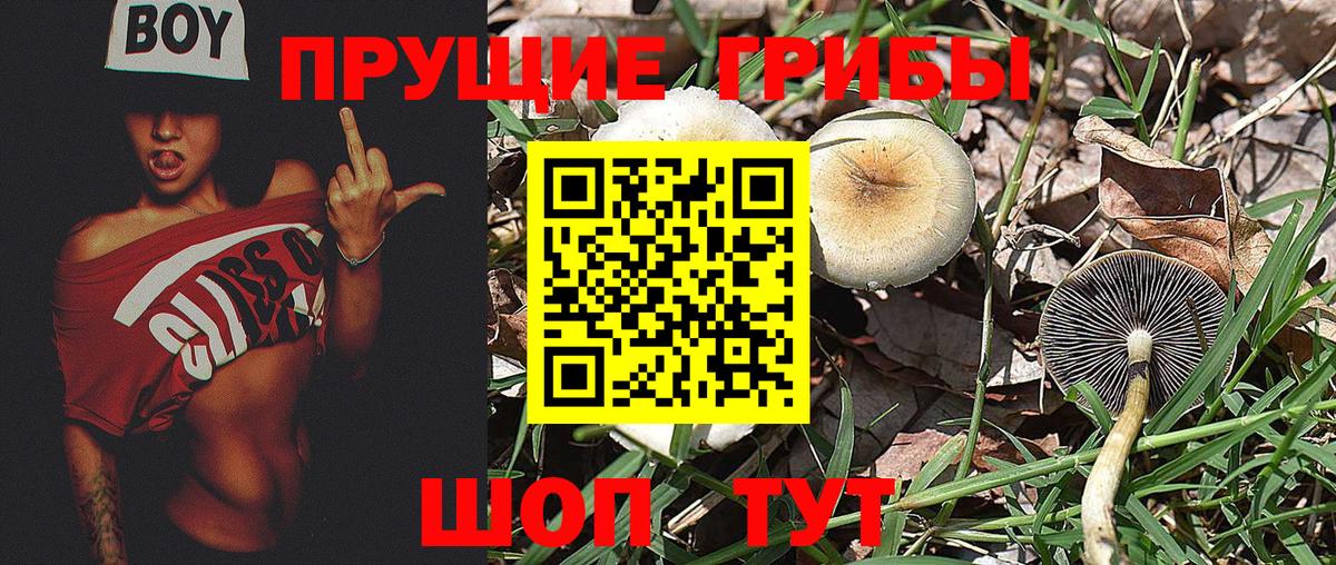 Псилоцибиновые грибы прущие грибы  Вход с VPN  наркотики  Нижний Новгород 