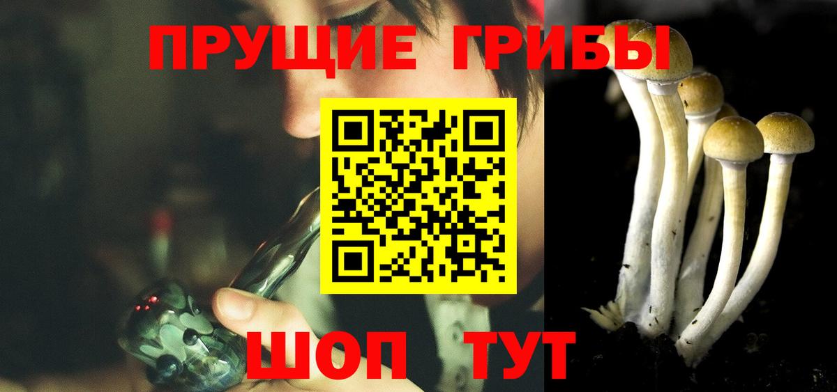 Псилоцибиновые грибы мицелий Нижний Новгород